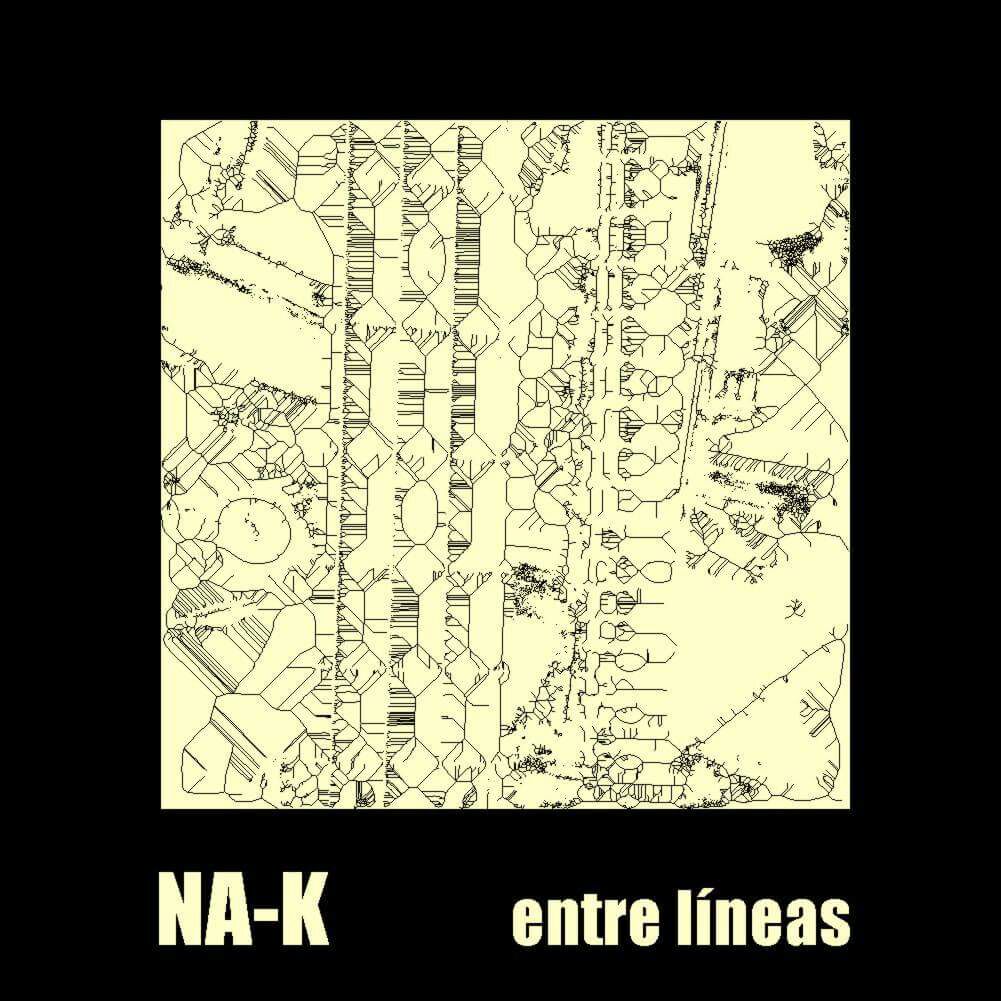 NA-K EP 2017 entre lineas (2)